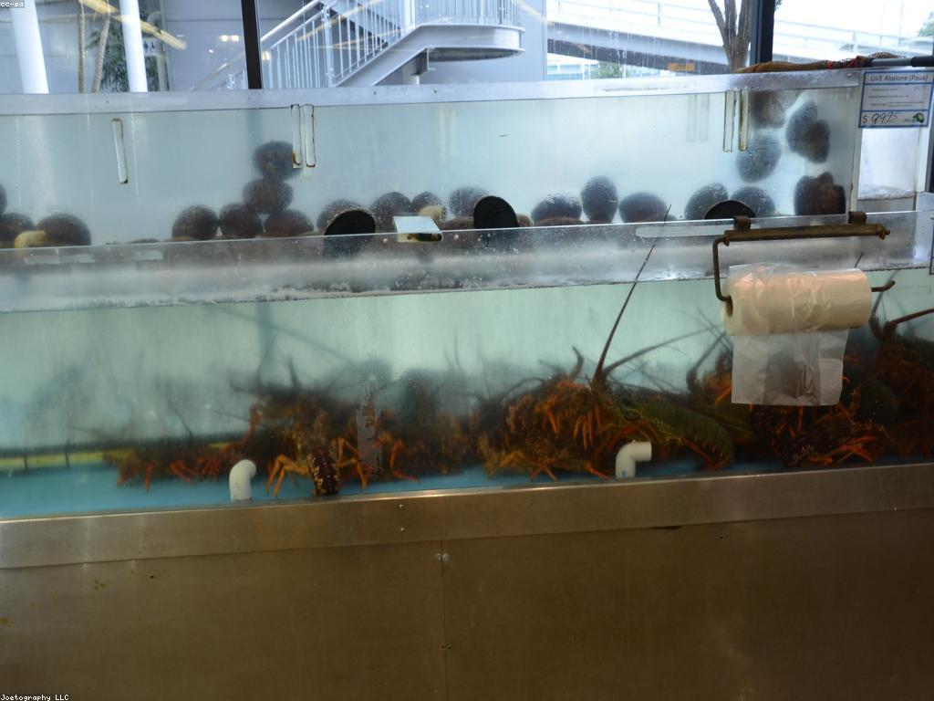 អាហារត្រី: ស្រស់ស្រាយ និងពិសេសជាមួយសាច់ត្រី