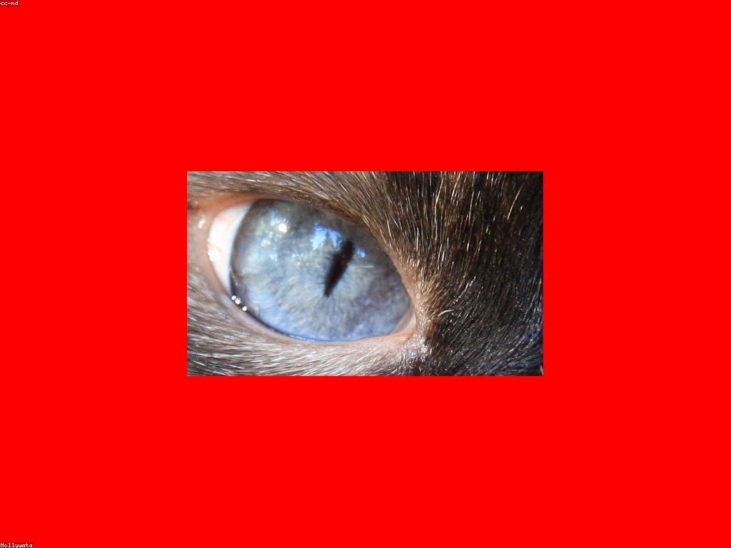 សារសំខាន់នៃការពិចារណា: ការបង្កើតការយល់ដឹងថ្មី