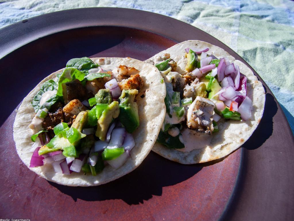 អាហារត្រី: រសជាតិដ៏ពិសេសនៃសមុទ្រ