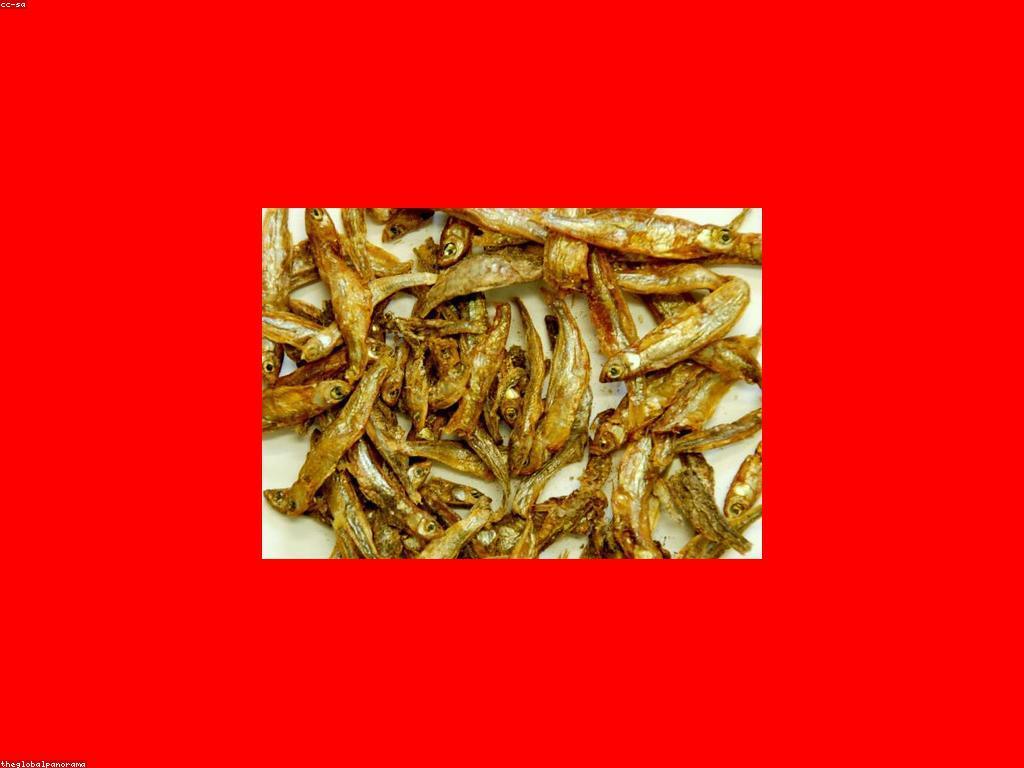 អត្ថប្រយោជន៍នៃម្ហូបត្រីសម្រាប់សុខភាព