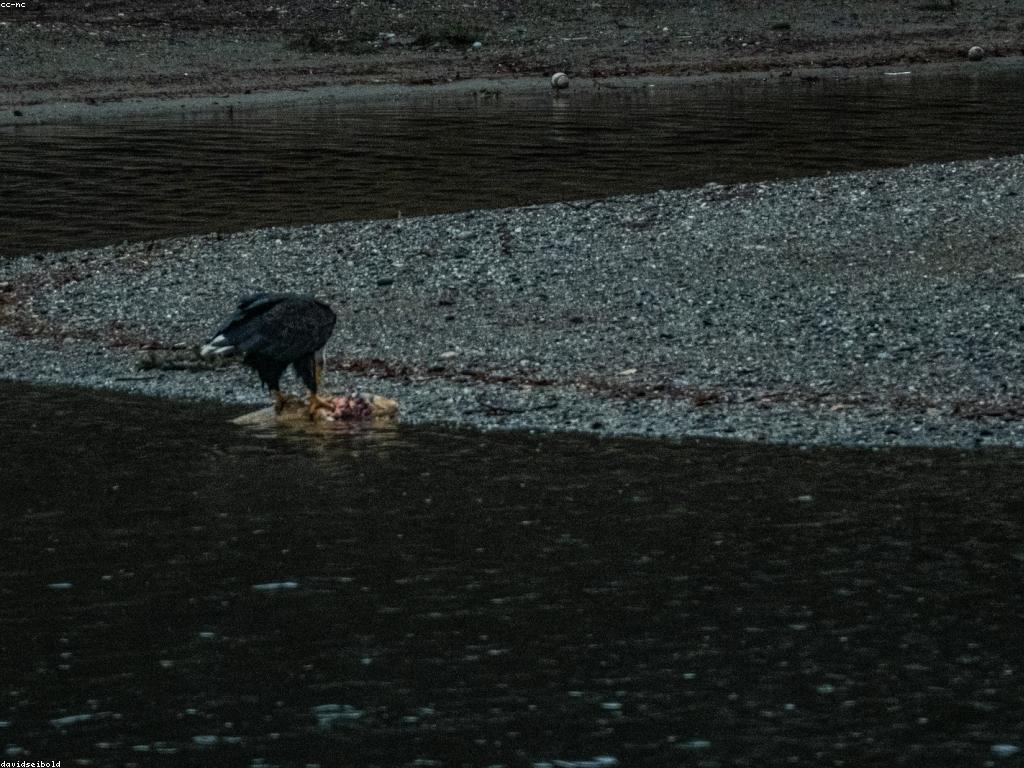 កន្លែងចាប់ត្រីអស្ចារ្យនៅកម្ពុជា