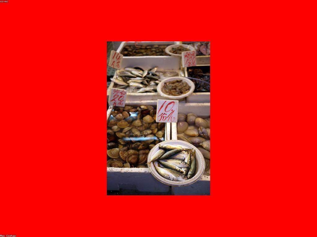 ម្ហូបត្រីដែលមានការពារបរិស្ថាន៖ ការជ្រើសរើសក្នុងការចម្អិន